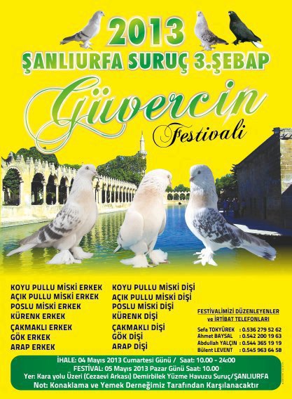 Şanlıurfa Suruç 3’cü Şebap güvercin festivali